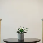 Roseum Boutique Hotel