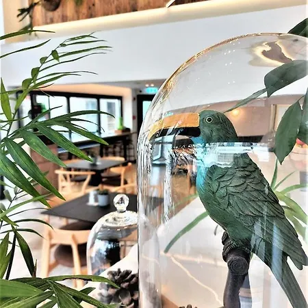 Roseum Boutique Ларнака