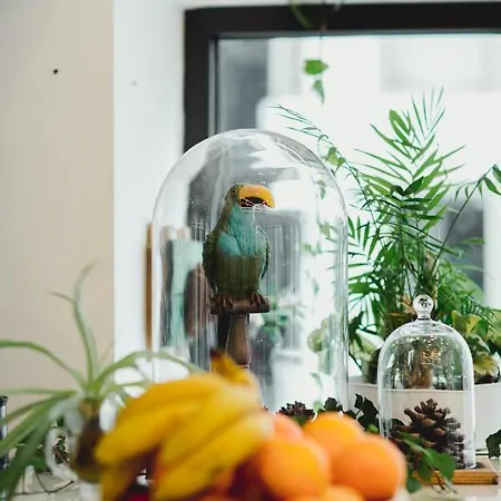 Roseum Boutique Отель