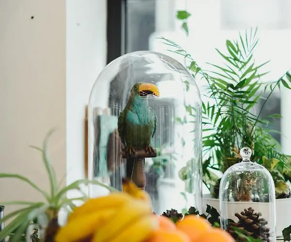 Roseum Boutique Hotel