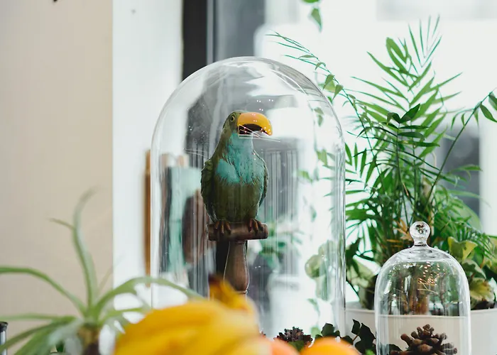 Roseum Boutique Готель 3*